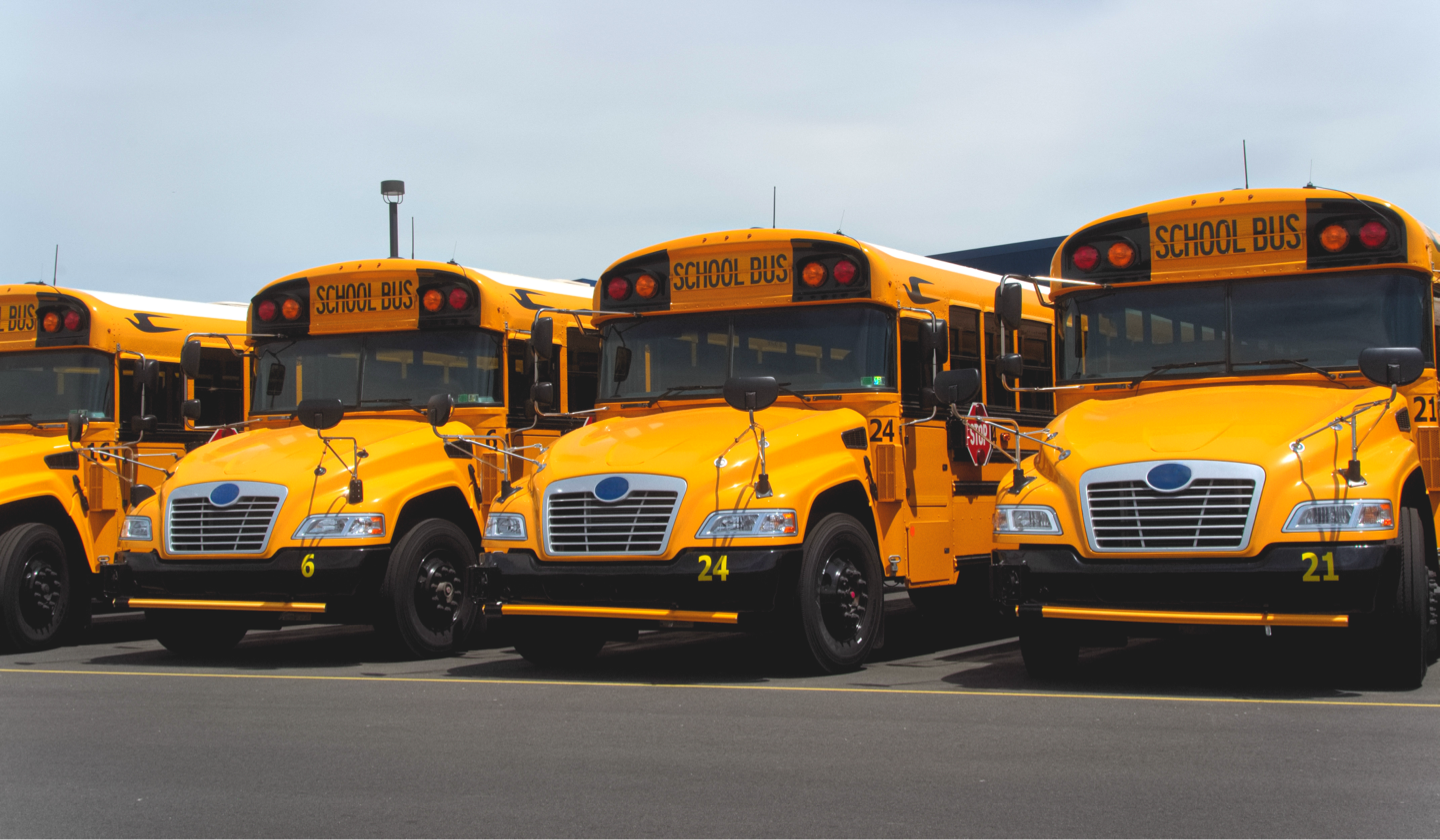 school buses in a row in a parking lot